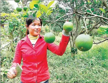  ?? HENG CHIVOAN ?? With a total $10 million budget, the eight-year run of CHAIN projects, from 2014-2022, has been put in place across Kratie, Stung Treng, Preah Vihear and Oddar Meanchey provinces.