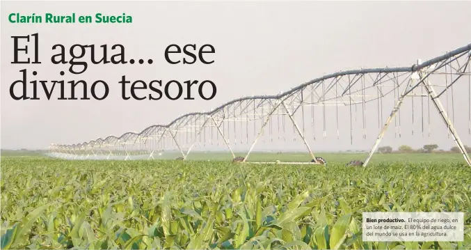  ??  ?? Bien productivo. El equipo de riego, en un lote de maíz. El 80% del agua dulce del mundo se usa en la agricultur­a.