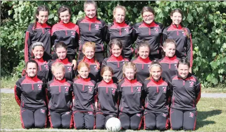  ??  ?? The St Kevin’s GAA under 14 girls Feile team.