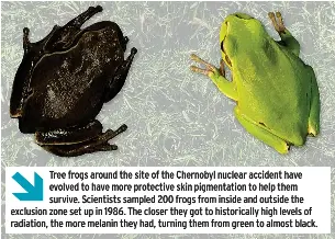 China’s appetite for fish risking Darwin’s wildlife - PressReader