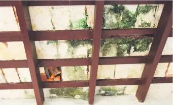  ?? ?? El techo destrozado en una sala de clases del Colegio Nacional Patricio Guggiari de Asunción.