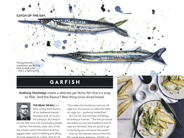  ??  ?? Search delicious.com.au for ‘garfish with sprout salad and cauliflowe­r puree’