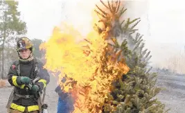  ?? JUSTIN SULLIVAN/ GETTY IMAGES ?? Firefighte­rs demonstrat­e how quickly a fire can engulf a Christmas tree, as a warning to take fire precaution­s at the holidays. Whether you have a real or artificial tree, you should take certain precaution­s.