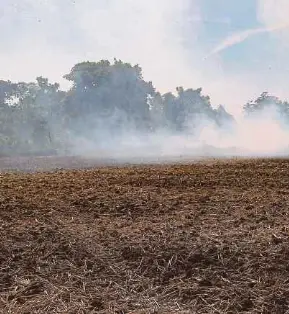  ?? (Foto Mikail ONG/BH) ?? Keadaan sawah padi yang kering kontang dan tanah merekah di Balik Pulau berikutan fenomena cuaca panas melanda negara.