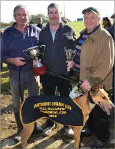  ??  ?? Dan McCarthy presenting the cups to Nick Cotter and John Walsh after their dog, Headleys Anonso, won the Bill McCarthy Memorial Cup at Abbeydorne­y Coursing on Sunday. Photo By David O’Sullivan