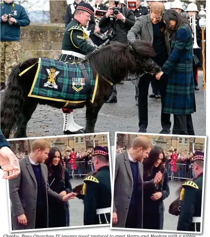  ??  ?? Cheeky: Cheek Po Pony Cr Cruachan acha IV ig ignores ores ro royal al protocol to greet Harry and Meghan with a nibble