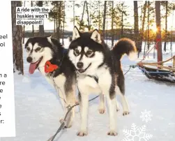  ??  ?? A ride with the huskies won’t disappoint!