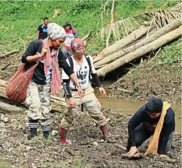  ??  ?? Umi’s work extends beyond community engagement. Here she assists her colleagues from the wildlife monitoring unit. — WWF-Malaysia