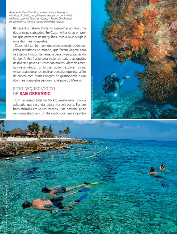  ??  ?? esquerda, Praia Chen Rio, de areia branquinha e águas cristalina­s. À direita, mergulho para explorar um dos incríveis recifes de corais de Cozumel. Abaixo, o Parque Chankanaab, parque nacional marinho repleto de belezas naturais.