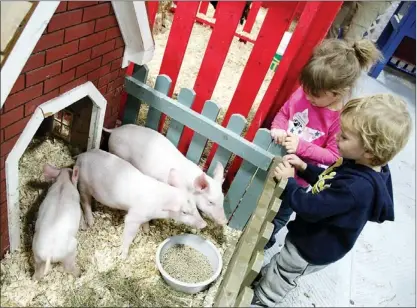  ??  ?? Three-year-olds Zoie Wall and Andrew Crouch from Pouch Cove are amused by three little piglets at the show.