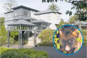  ??  ?? Premier House in Wellington is popular with pesky possums.