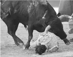  ??  ?? Fandino impaled by a Baltasar Iban bull during the bullfight. — AFP photo