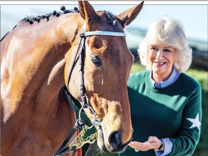  ?? ?? WINNING WAYS: Queen Consort with Honeysuckl­e, who was victorious in the Champion Hurdle at Cheltenham in March