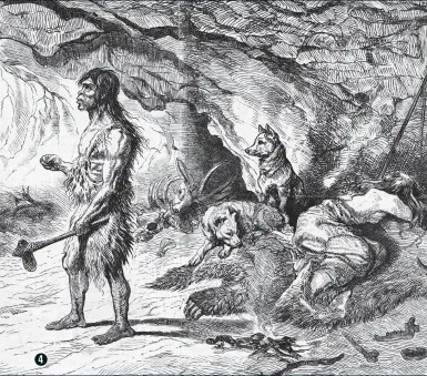  ??  ?? 4 Ernest Griset’s Neandertha­l (1873) is more “civilised” than its predecesso­rs, with a crafted stone-tipped spear among its possession­s