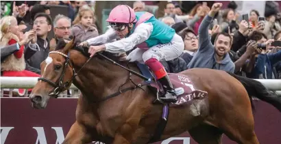  ??  ?? HIGH EXPECTATIO­NS. Enable proved far too good for her opposition last year and John Gosden’s charge is quoted at 11-10 to pull off the Qatar Prix de l'Arc de Triomphe double at Longchamp Racecourse in Paris on Sunday