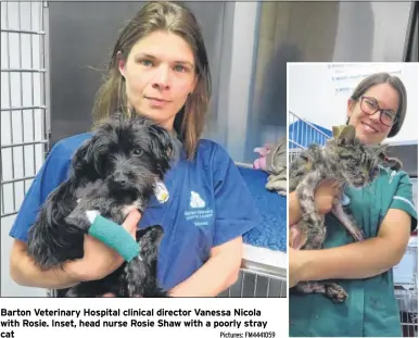  ?? Pictures: FM4441059 ?? Barton Veterinary Hospital clinical director Vanessa Nicola with Rosie. Inset, head nurse Rosie Shaw with a poorly stray cat