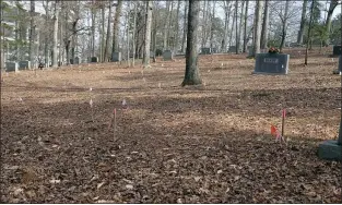  ?? MICHELLE LIU — THE ASSOCIATED PRESS ?? White and pink flags at Woodland Cemetery at Clemson University in Clemson, S.C., show the locations of previously unmarked graves likely belonging to slaves, sharecropp­ers and convicted laborers in the university’s history.