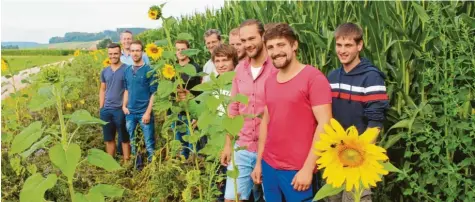  ??  ?? Schüler der Landwirtsc­haftsschul­e Mindelheim haben in Eigeniniti­ative mehr als 4000 Quadratmet­er Blühwiesen angelegt.