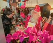  ??  ?? Tradizioni Il Natale di Portopicco­lo, nel Golfo di Trieste: molte le iniziative dedicate all’enogastron­omia, tra le quali «Delizia, delight panettone»