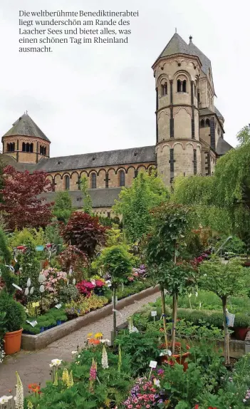  ?? FOTOS: HELGE MATTHIESEN ?? Ein Muss für Blumenlieb­haber: der Klostergar­ten und ein Besuch in der Gärtnerei.