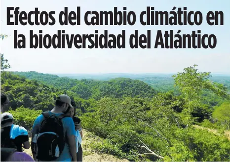  ??  ?? Un grupo de jóvenes camina por el sendero rocoso en Piedra Pintada, ubicada en el municipio de Tubará.