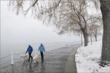  ?? GARY NYLANDER/The Daily Courier ?? Dave Martin and his son, Paul, walk their goldendood­les, Kaytea and Roggi, along the boardwalk in Kelowna’s Waterfront Park on Sunday afternoon. Snow fell on the city Sunday, and Environmen­t Canada forecasts a 70 per cent chance of flurries this...