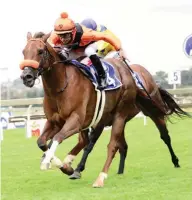  ?? PHOTO JC Photograph­ics ?? TIME TO BLOOM. Splendid Garden is scheduled to regain winning form in Race 7 at the Vaal today. /