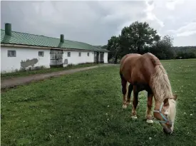  ??  ?? STALLET STåR KVAR. I den långa låga byggnaden hade Tolstoj sina hästar.