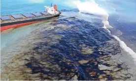  ??  ?? Oil drifts over coral reefs from the MV Wakashio, a Japanese-owned carrier ship that ran aground off the south-east coast of Mauritius. Photograph: EPA