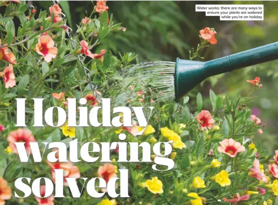  ??  ?? Water works: there are many ways to ensure your plants are watered while you’re on holiday