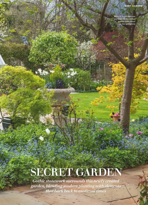  ??  ?? Beds of forget-me-nots and tulips fill the walled garden with colour in the springtime