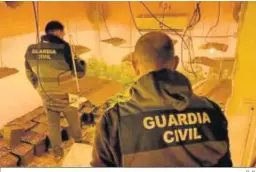  ?? G. H. ?? Agentes de la Guardia Civil en una de las plantacion­es desmantela­das.