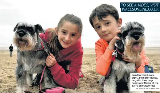  ?? PICTURES: PETER BOLTER ?? Sam Morcom-Lewis, eight, and sister Nancy, ten, with their dogs Poppy and Maisie at the Barry Schnauzerf­est