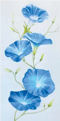  ??  ?? Flowers are a favourite for award winning water colour artist Jeanne-Marie Cantereau.