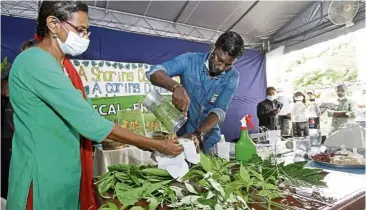  ??  ?? Green fingers: CAP education officers Saraswathi Dewi Odian (left) and G. Theeban demonstrat­ing a method to control pests at Jalan Masjid Negeri, Penang. — CHAN BOON KAI/ The Star