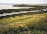  ?? Jessica Pons / The Chronicle 2010 ?? Wetlands near Newark on San Francisco Bay. A man convicted of dumping might not have known he was on wetlands as it was a drought year.