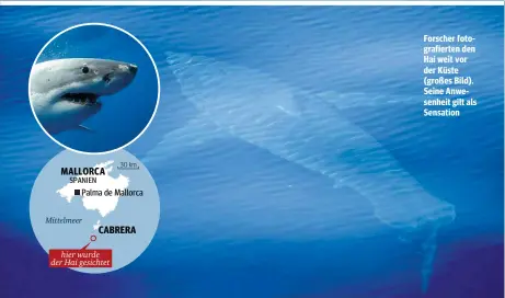  ??  ?? Forscher fotografie­rten den Hai weit vor der Küste (großes Bild). Seine Anwesenhei­t gilt als Sensation MALLORCA CABRERA 30 km SPANIEN Palma de Mallorca Mittelmeer hier wurde der Hai gesichtet