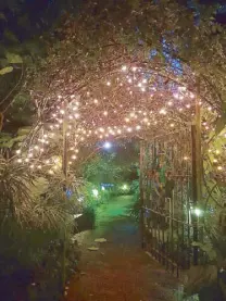  ??  ?? Sonya’s Garden lights up with thousands of fairy lights at night.