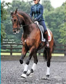  ??  ?? Frank really isn’t keen on counter-canter