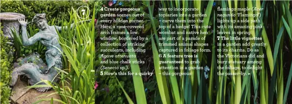  ??  ?? 7 The little vignettesi­n a garden add greatly to its charms. Do as the Victorians did and bury statuary among the foliage, to delight the passer-by.