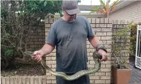  ?? Photograph: Tesse Ferguson ?? The 3-metre long python launched out of the nearby garden and latched on to the boy’s ankle, his father says.