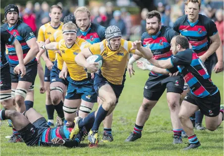  ??  ?? Oliver Nott, of the University of Victoria Vikes, runs with the ball against the Castaway Wanderers during the B.C. Premier Rugby League quarter-final game at Windsor Park on Saturday.