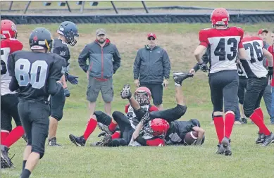  ?? JENNIFER VARDY LITTLE ?? West Kings and Northeast Kings players end up in a tangle of arms and legs after the Titans tackle the Wolverines in Sept. 18 action on the Canning field. NKEC won the match-up 51-0.