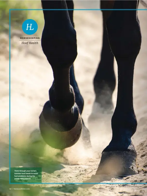  ?? MAIN IMAGE BY ZUBERKA/ISTOCKPHOT­O.COM ?? Think through your horse’s summer hoof needs to avoid foot problems during the prime riding season.