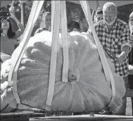  ?? LIANG SEN / XINHUA ?? A worker prepares a pumpkin for weighing during the Giant Pumpkin Weigh-Off Event in Langley, Canada, on Saturday.