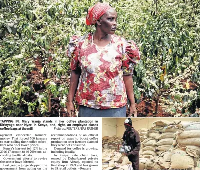  ?? Pictures: REUTERS/BAZ RATNER ?? TAPPING IN: Mary Wanja stands in her coffee plantation in Kirinyaga near Nyeri in Kenya, and, right, an employee closes coffee bags at the mill