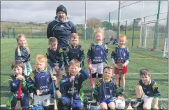  ?? ?? The Cois Bhríde U7 hurlers who took part in their first hurling Blitz.