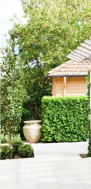  ??  ?? Pergola In the Spanishins­pired design, solid timber beams sit atop piers clad in Newport Random Ashlar stone from Eco Outdoor. Trailing Boston ivy softens its lines and lilly pilly provides hedging beyond the pear trees. Table, Domo. Cane dining chairs, Fantastic Furniture.