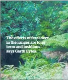  ?? ?? The effects of feral deer in the ranges are long term and insidious says Garth Eyles.