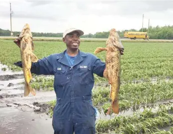  ?? DORSEY FARMS ?? Simon Graham and other workers at Dorsey Farms in Beeton, Ont., found several fish left stranded in the fields.